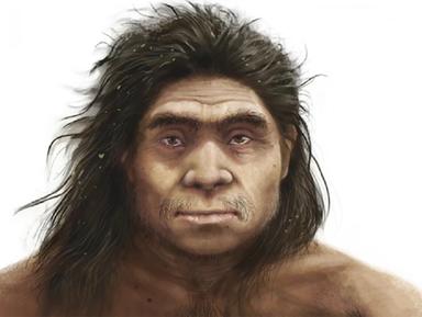 Fronte bassa e zigomi piatti, ecco il volto dei nostri antichi 'cugini'