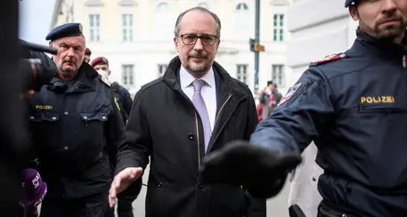 Austria, Schallenberg nuovo cancelliere