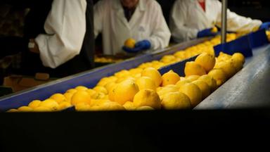 Polenghi compie 50 anni, fatturato sale a 110 milioni, export in 90 Paesi