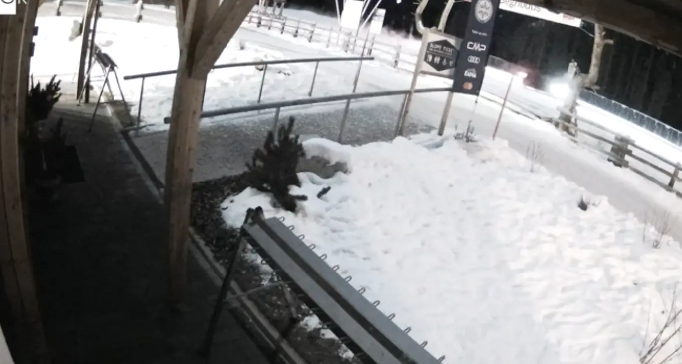 San Cassiano, giovani in auto sulle piste da fondo dell’Armentarola