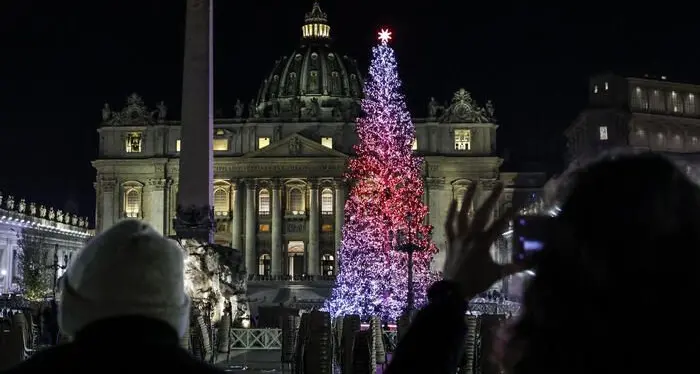 Da Ultimo a San Pietro, l’abete dell’Alto Adige consegnato al Vaticano
