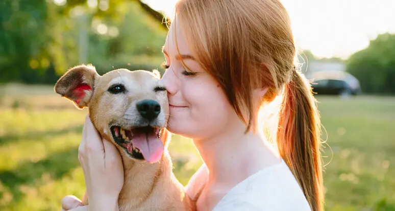 Cosa pensa un cane quando… Se ci sorride, perché lo fa?
