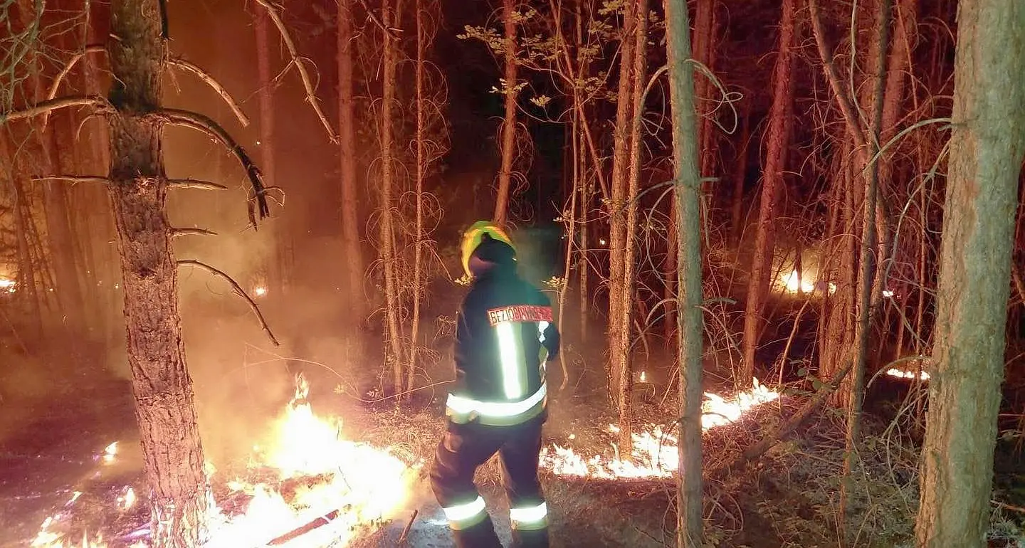 Rogo nel bosco a Prato allo Stelvio, in azione sette corpi dei vigili del fuoco