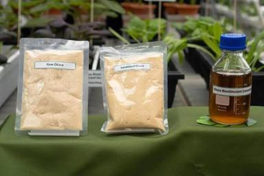 A Singapore gli scarti della soia diventano cibo e fertilizzanti