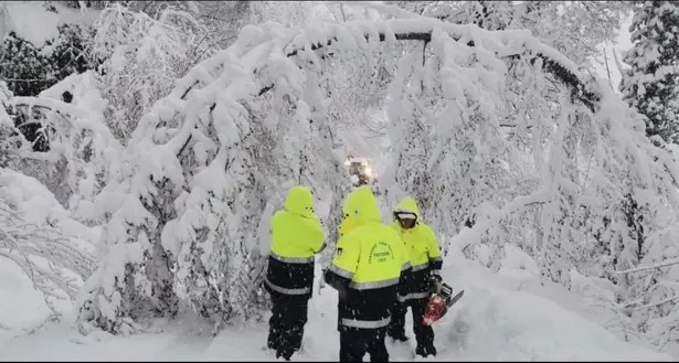 Trovata morta congelata nella neve sull’Appennino un’allevatrice di cani