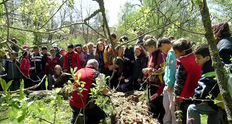 Ritorna in Alto Adige il servizio di volontariato estivo