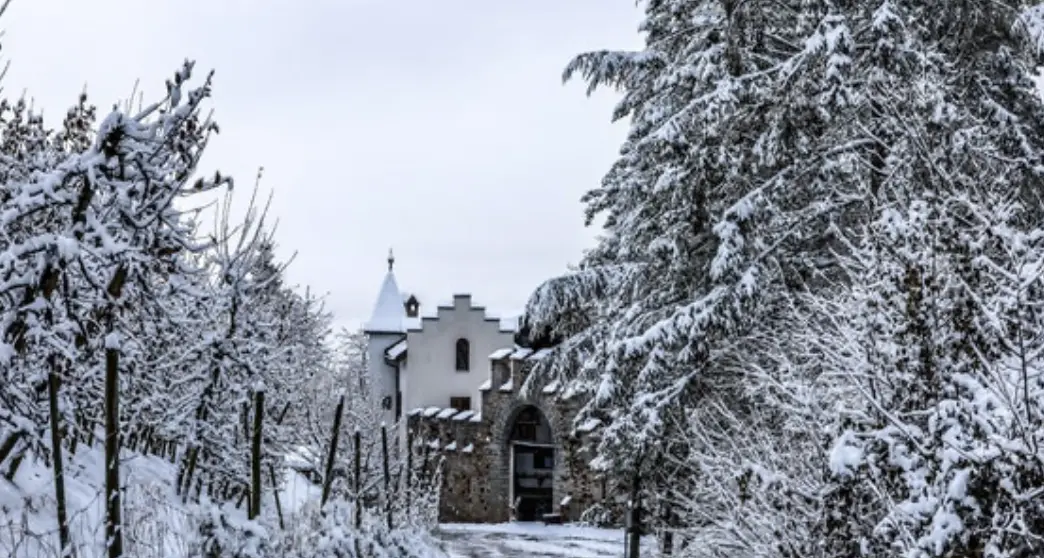 Novembre più freddo del solito in Alto Adige. Ecco come sarà il tempo nel fine settimana