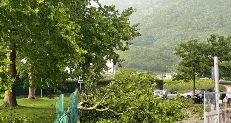 Forte temporale con raffiche di vento: danni a Bolzano, in val Pusteria e Bassa Atesina. Temperatura in picchiata