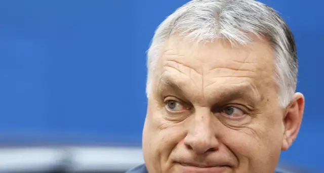 Nato: Orban, sosteniamo l'ingresso di Svezia e Finlandia