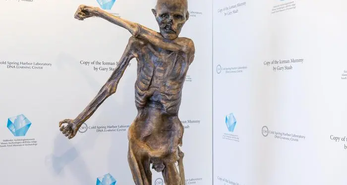 L'uomo di 5.000 anni fa soffriva già di aterosclerosi