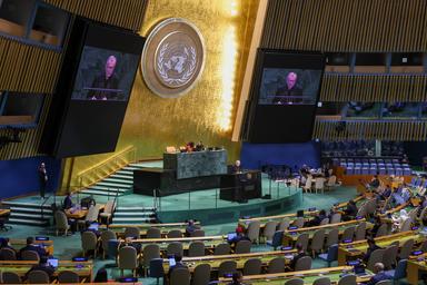 Onu, decisione Usa di trasmettere in streaming un'esecuzione costituirebbe tortura