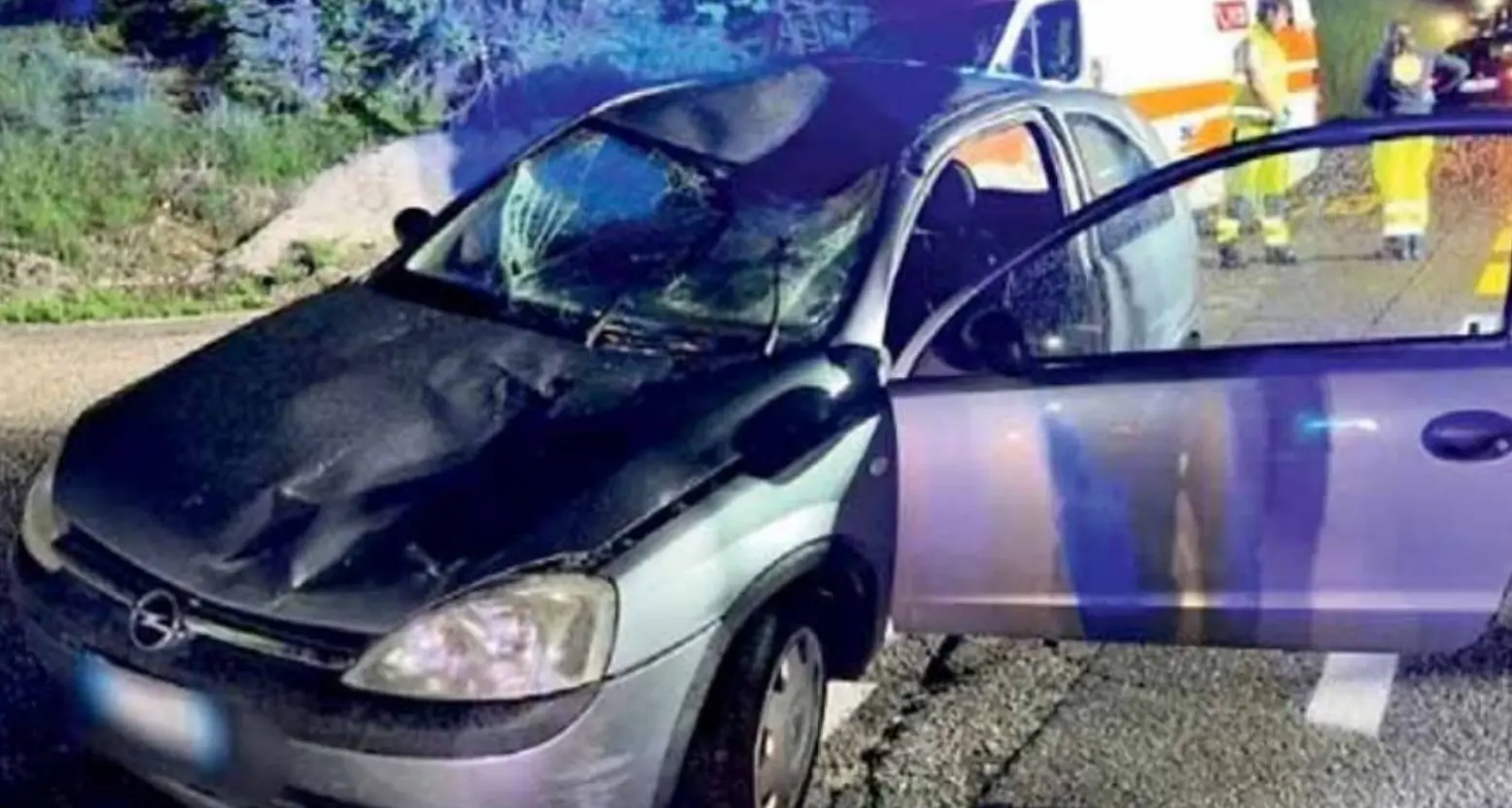 Investe una donna a cavallo: l’animale, ferito, è stato abbattuto
