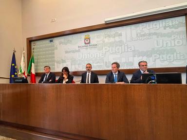Xylella, 30 milioni di euro per la rigenerazione degli oliveti in Puglia