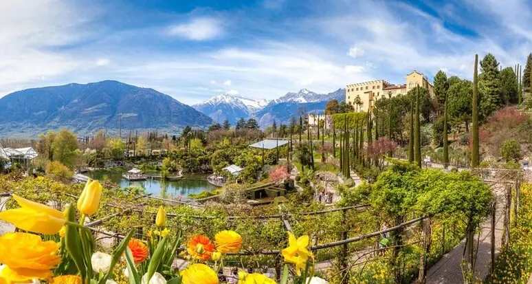 Giardini, boom di turisti: a Castel Trauttmansdorff e al Touriseum nel 2023 oltre 422.000 visitatori