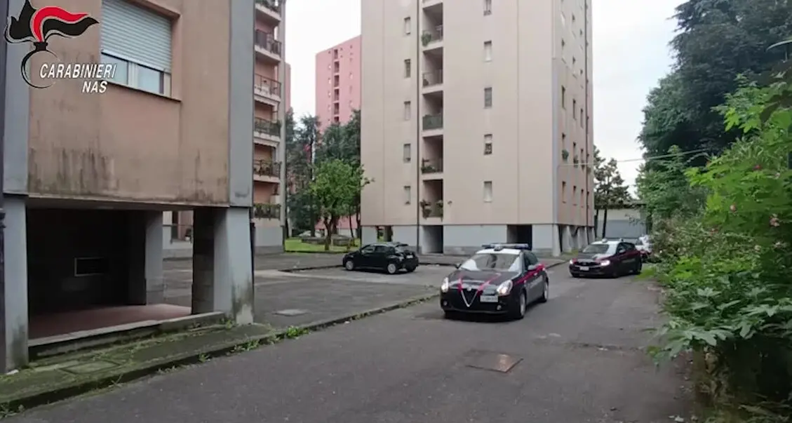 Traffico di anabolizzanti, restano in carcere gli arrestati: le lacrime del personal trainer all’interrogatorio