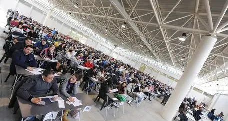 Concorsi pubblici, servirà conoscere almeno una lingua straniera