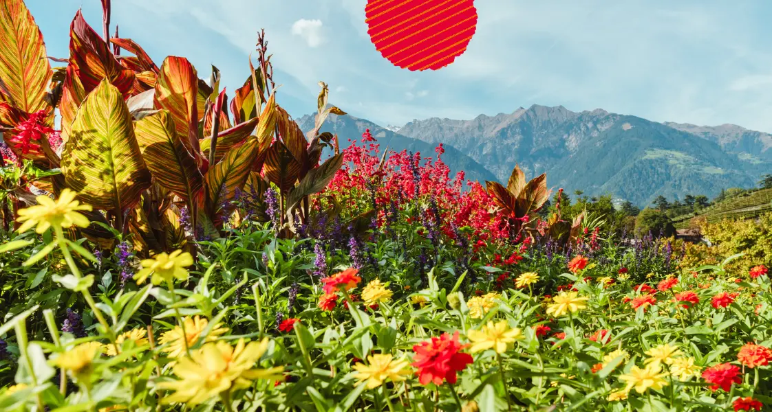 Premio al giardinaggio ecologico, Castel Trauttmansdorff vince con “Diversity”: un percorso che si snoda lungo il perimetro del parco