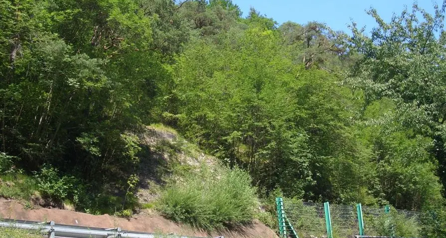 Statale della Val d'Ega, allargamento della strada e galleria paramassi in arrivo
