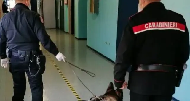 Brunico: controlli antidroga a scuola. Due studenti segnalati