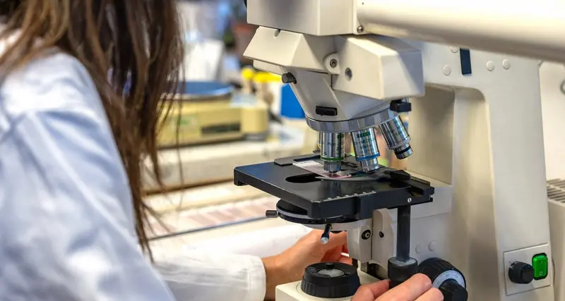 Pollini, nuovo aumento delle concentrazioni: le previsioni della Provincia di Bolzano aiutano gli allergici a “difendersi”
