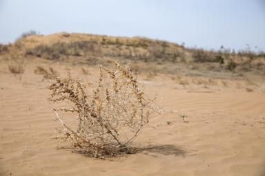 Tre italiani su 4 chiedono più impegno sulla crisi climatica
