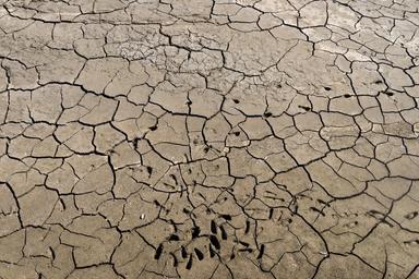 Guardian, 'almeno 35.000 morti in Europa per ondate calore di questa estate'