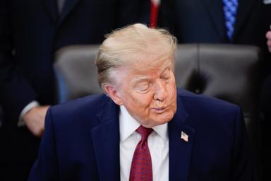Trump, 'ho parlato con Netanyahu dell'incidente, il pilota un terrorista o un matto'