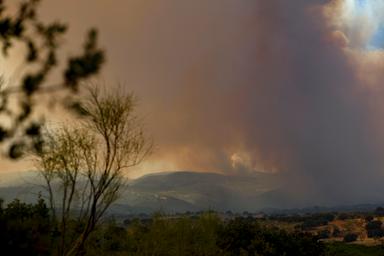 Operazioni di emergenza e evacuazione in corso nei pressi di Madrid durante incendio boschivo fuori controllo, immagine di approfondimento
