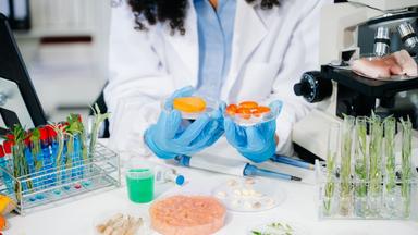Latte hi-tech e carne sintetica sotto la lente della Cattolica: rese basse e consumi elevati
