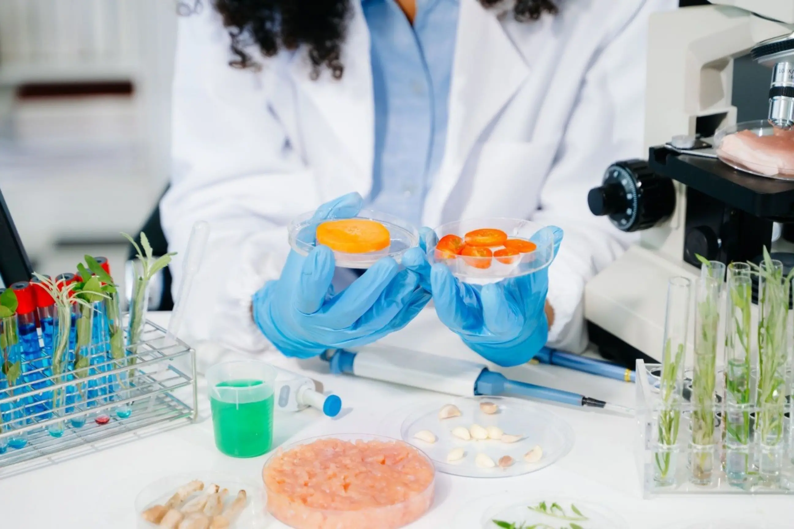 Latte hi-tech e carne sintetica sotto la lente della Cattolica: rese basse e consumi elevati