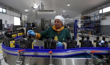 Tunisia, export olio d'oliva supera 1,4 miliardi di euro