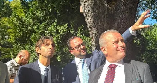 Donzelli ritiene l'autonomia un valore, se rivista in un’ottica di comunità nazionale