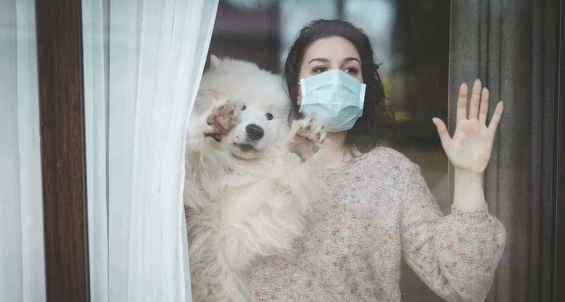 Covid, si accorcia la quarantena: stop dopo 5 giorni (con test) se asintomatici
