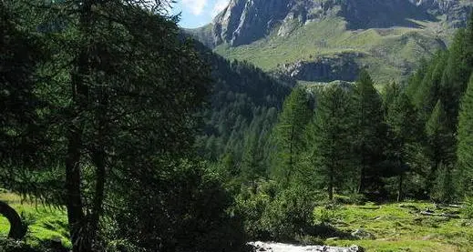 Parco dello Stelvio, presentato il nuovo piano di gestione