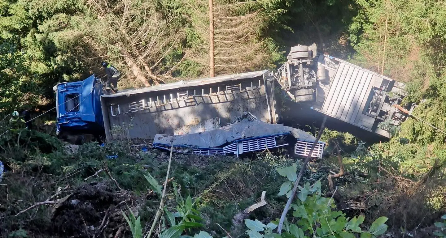 Tir carico di mucche si ribalta in Tirolo: intervento transfrontaliero dei vigili del fuoco di Malles