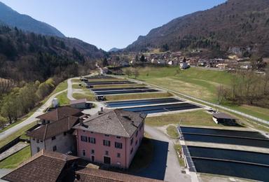 Associazione piscicoltori, caldo colpisce l'acquacoltura, conseguenze fino a Natale