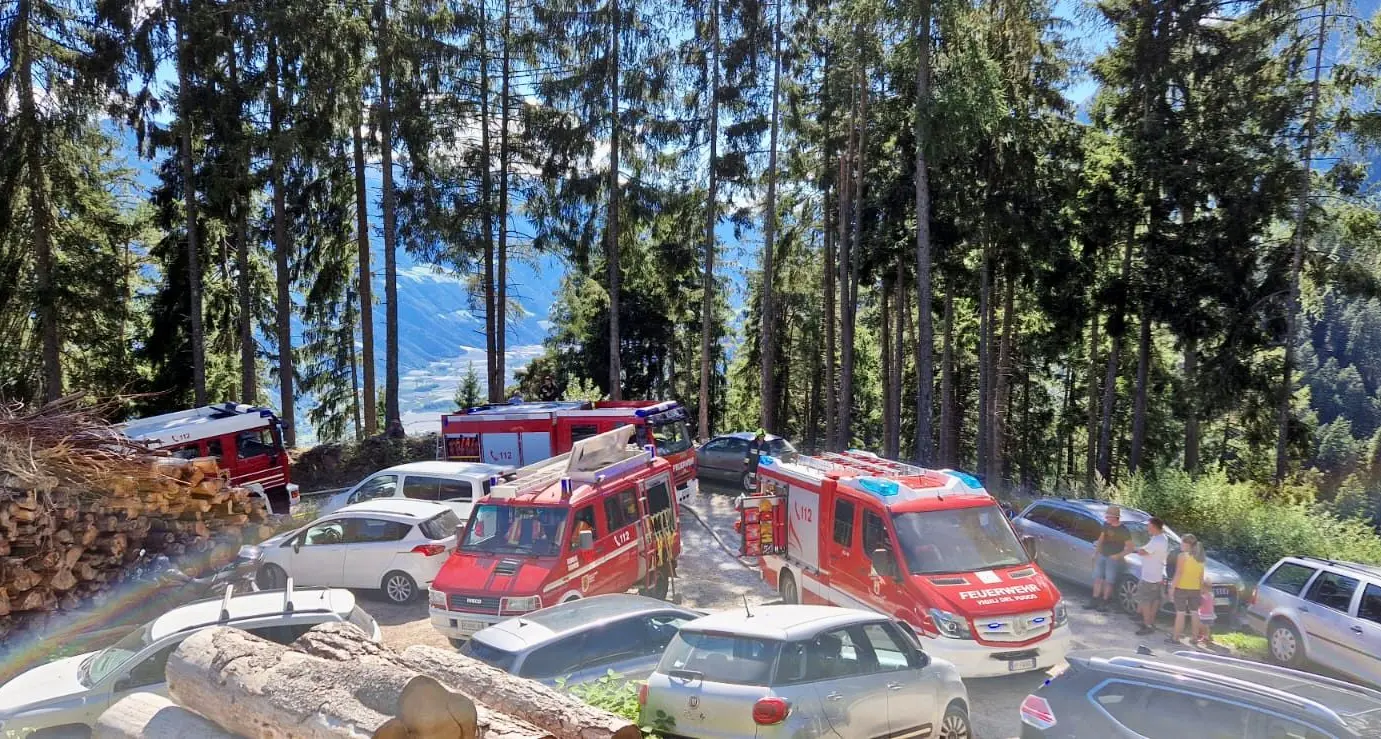 Incendio boschivo a Velloi, dispiegamento di pompe per lo spegnimento