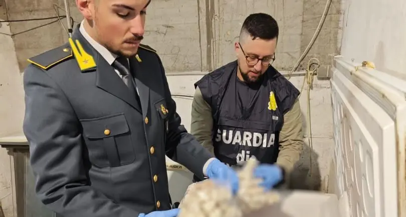 Merano, sequestrati 58 chili di pesce senza tracciabilità per sushi