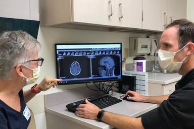 Glioblastoma, verso terapia mirata made in Italy contro forme più aggressive