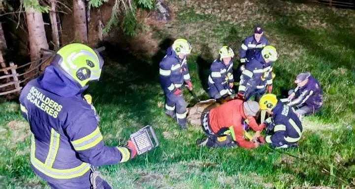 Scaleres: una mucca cade nella notta in un pendio, salvata dai vigili del fuoco