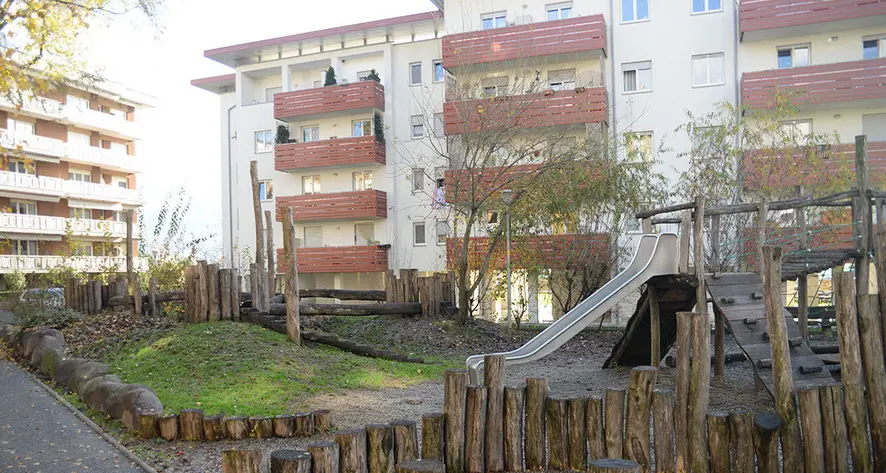 S. Vigilio, morìa di piccioni indaga l’azienda sanitaria