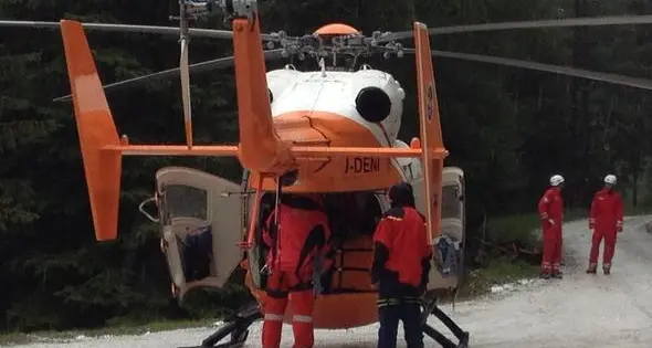 Morto il ragazzo caduto dall'albero