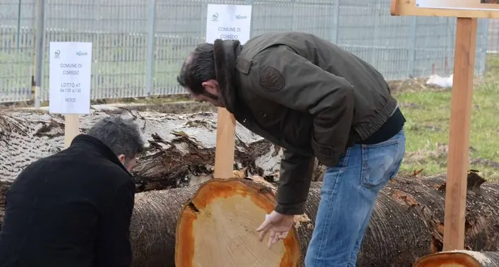 Export altoatesino, in calo il settore di legno e arredo