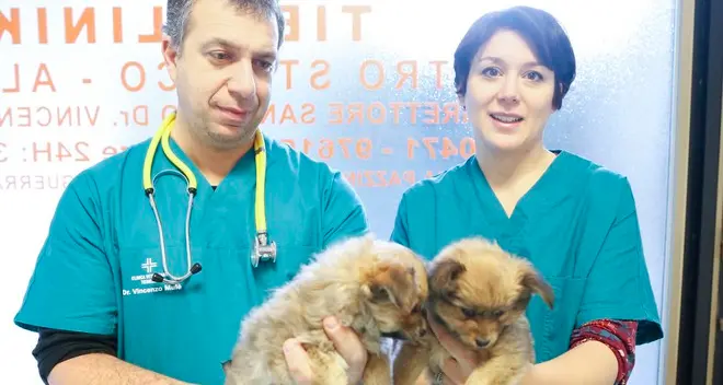 Nuova vita per Cloe e Kira abbandonate a Monticolo