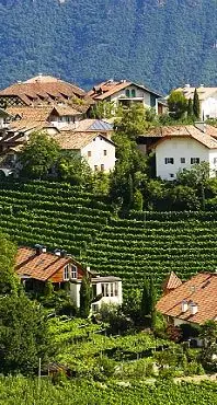 Appiano, stangata del Comune sulle case sfitte
