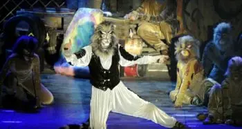 Bolzano: applausi per \"Cats\", il musical di Broadway in italiano