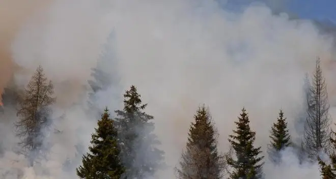 Furioso incendio nei boschi sopra Montagna