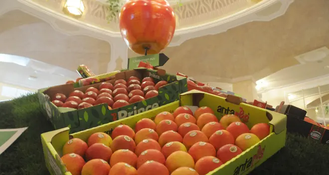 Pomosano, le mele più adatte ai succhi