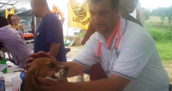 Veterinari bolzanini salvano 200 beagle