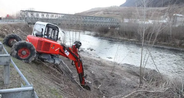 Wwf: «Salvate i nidi di aironi e cormorani sulle rive dell’Adige»